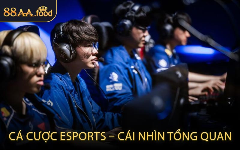 Cá Cược ESports – Cái Nhìn Tổng Quan