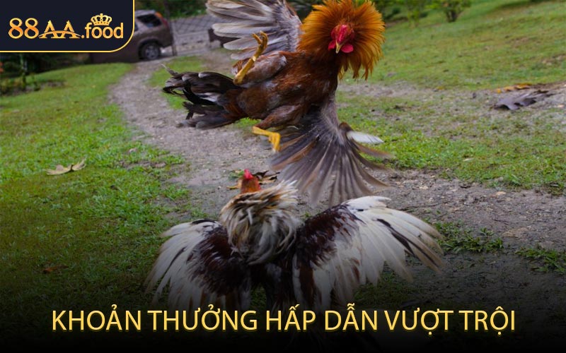 Khoản thưởng hấp dẫn vượt trội
