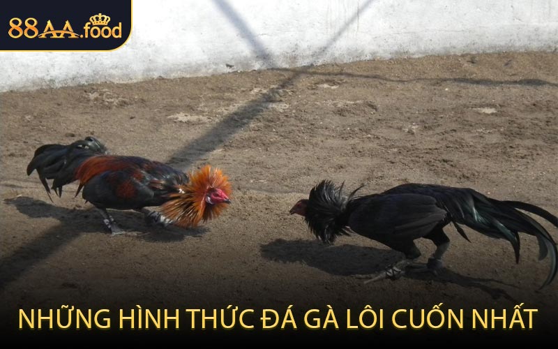 Những Hình Thức Đá Gà Lôi Cuốn Nhất